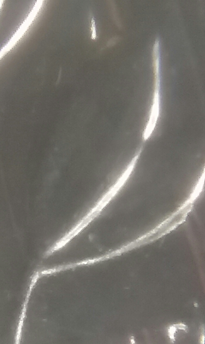 20161129_130959.jpg