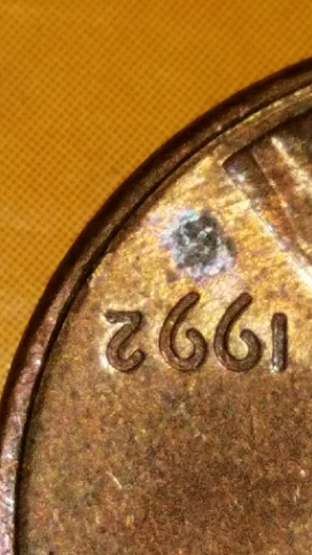 20161202_011524.jpg