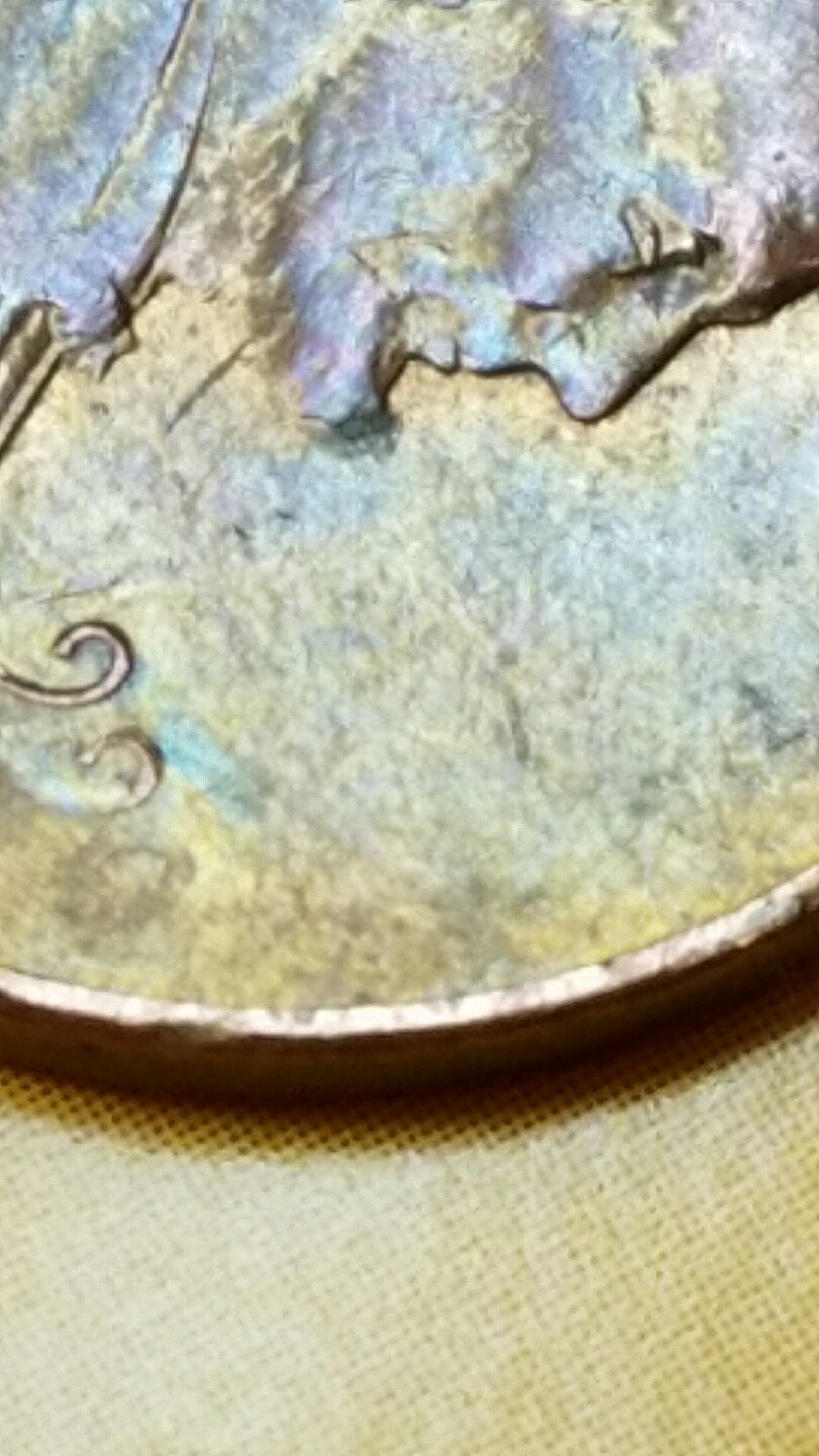 20161202_073834.jpg
