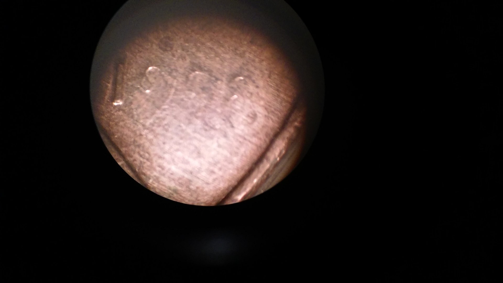 20161203_165845.jpg