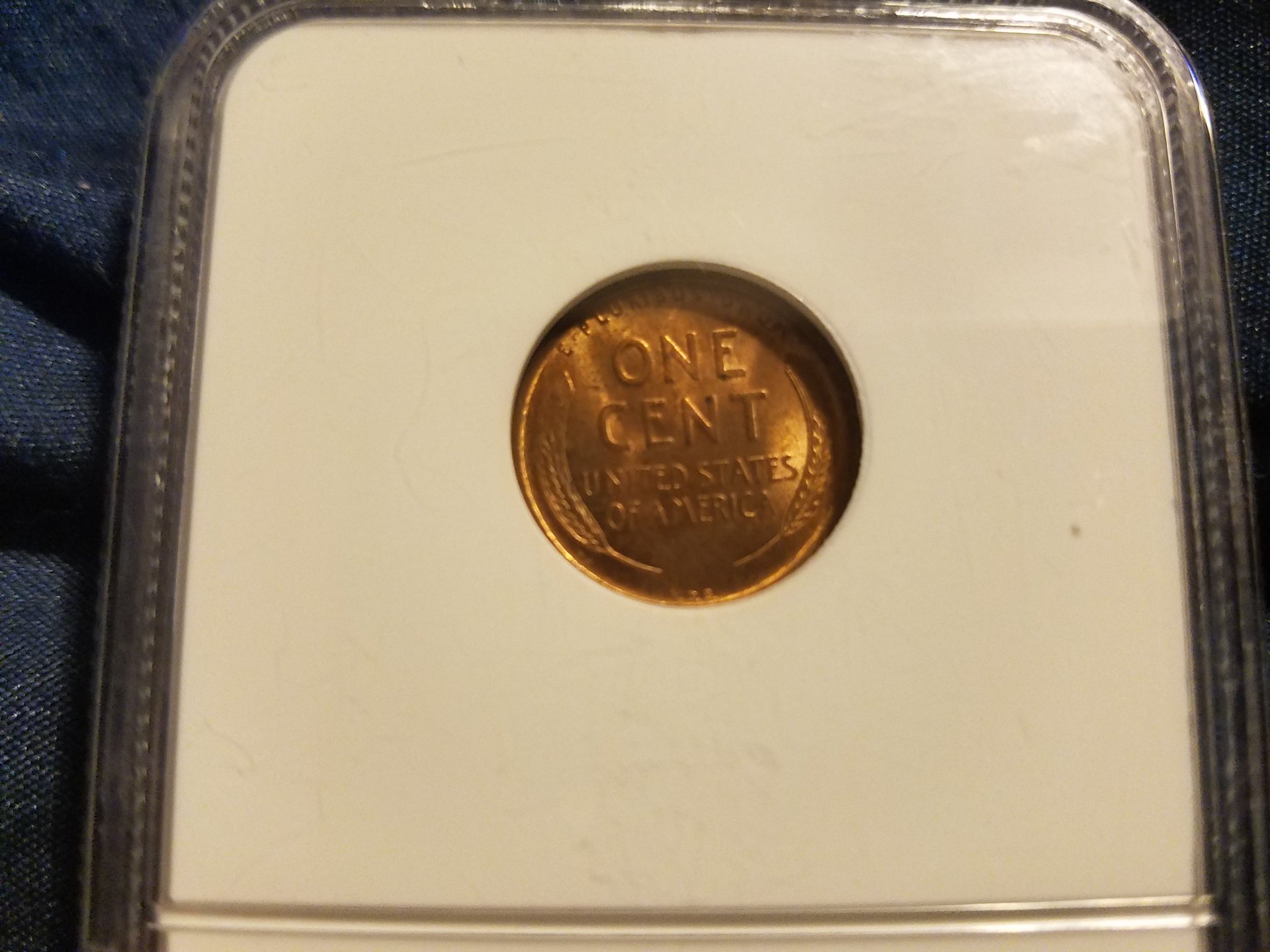 20161204_204737.jpg
