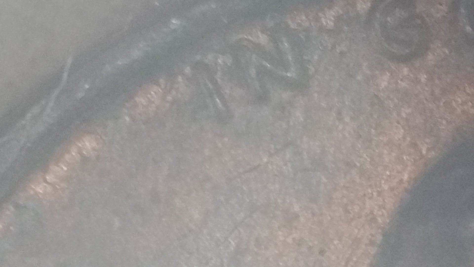 20161206_013054.jpg