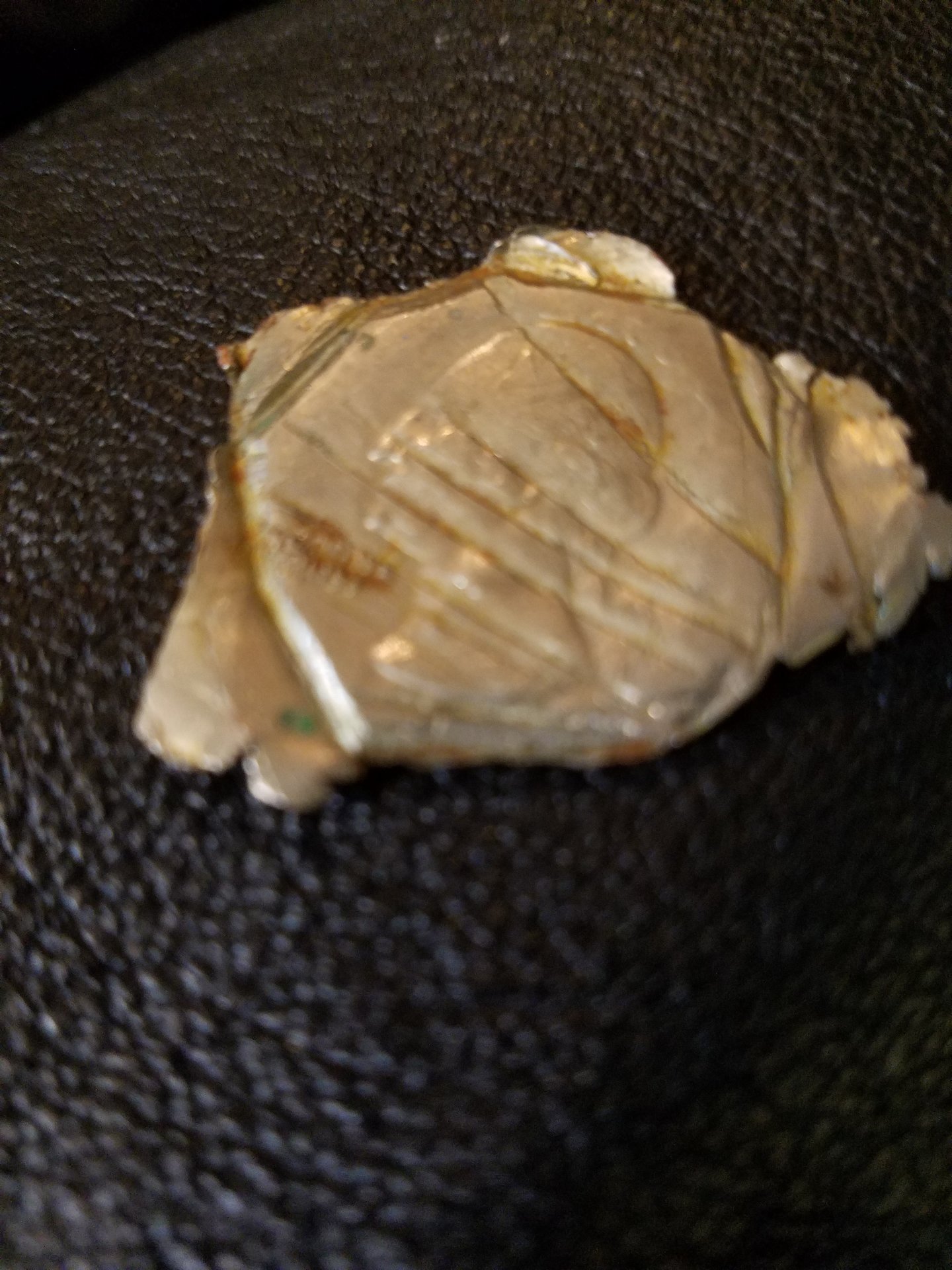 20161207_100251.jpg