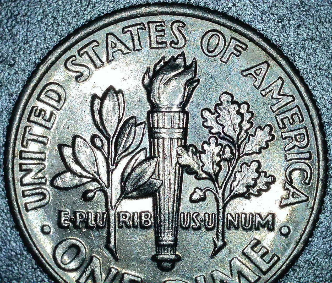 2016_dime_wddr-005_reverse_1.jpg