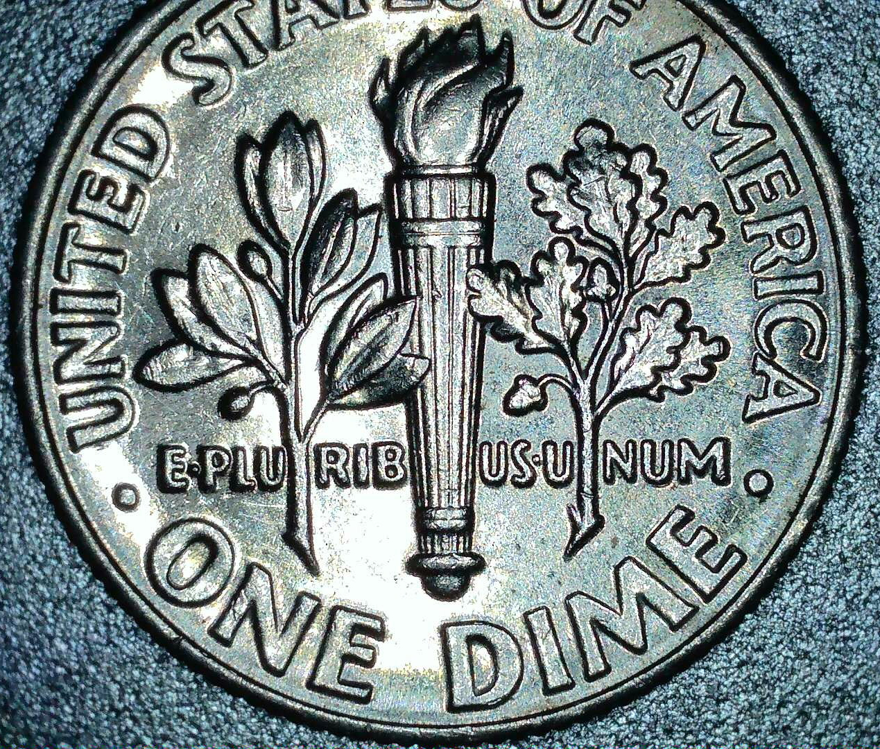 2016_dime_wddr-005_reverse_2.jpg