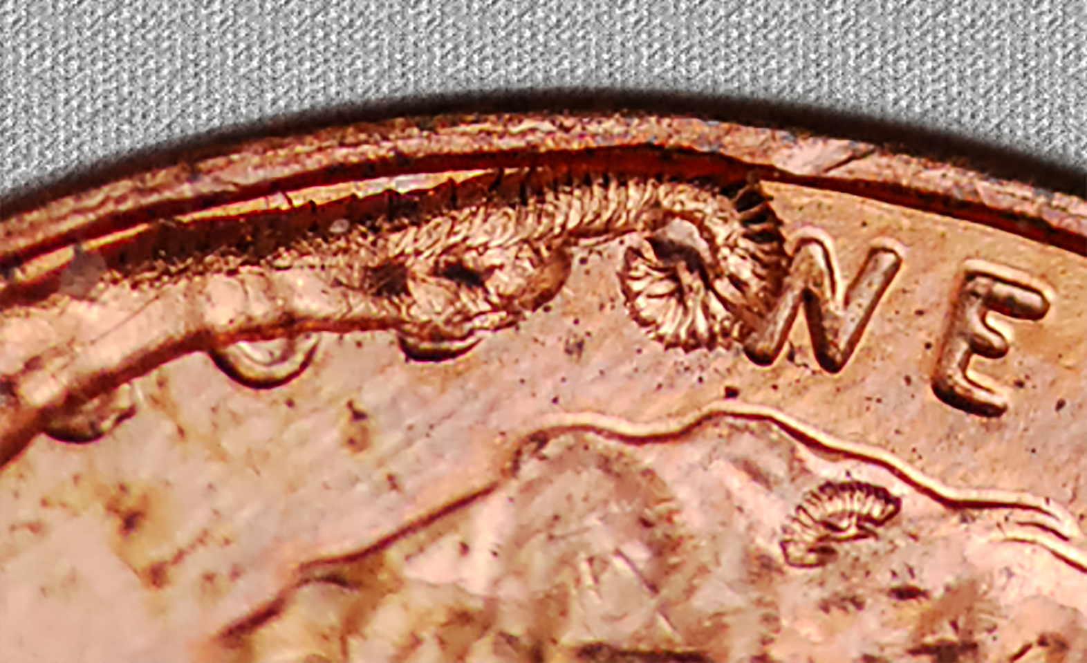 2016crop.jpg