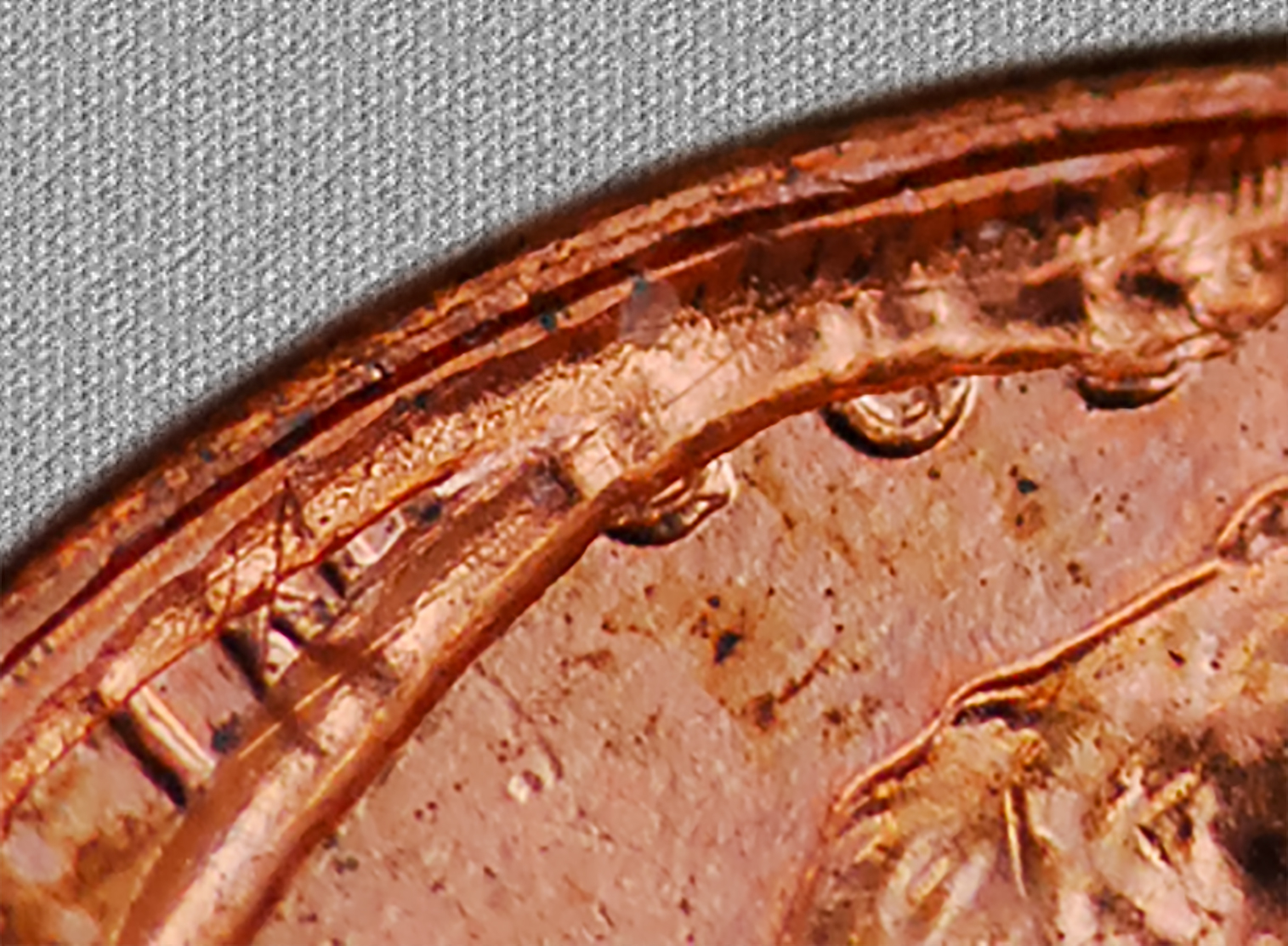 2016crop3.jpg