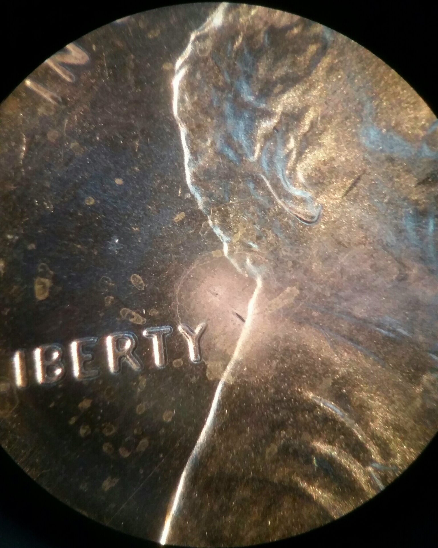 2017-03-05 10.52.52.jpg