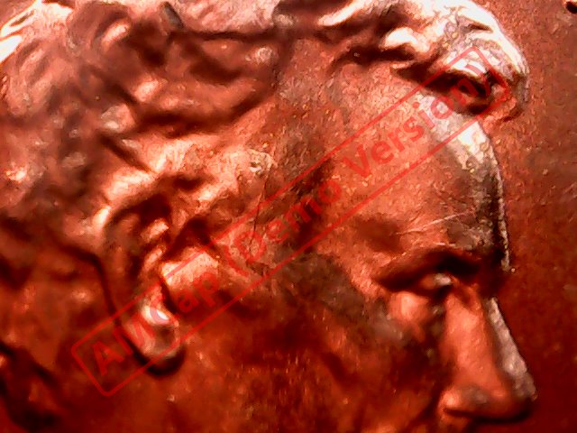 2017-05-17_194525_610.jpg