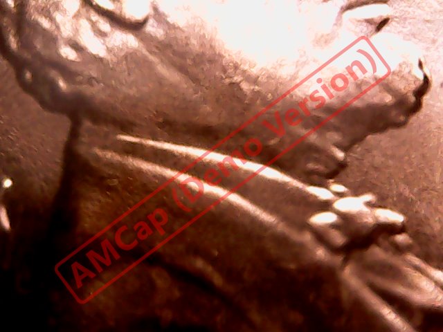 2017-05-19_085149_337.jpg