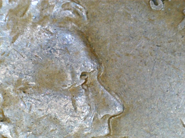2017-06-24_195132_589.jpg