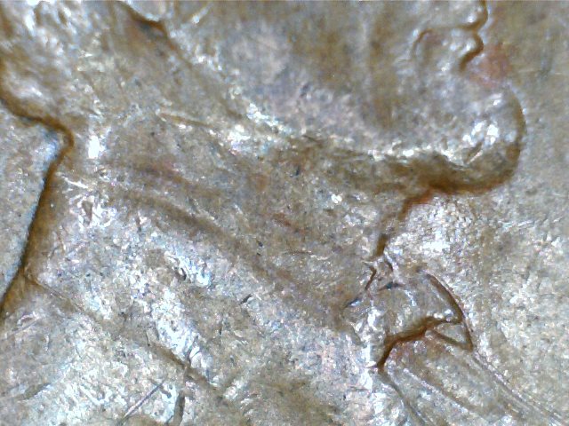 2017-07-03_122735_815.jpg