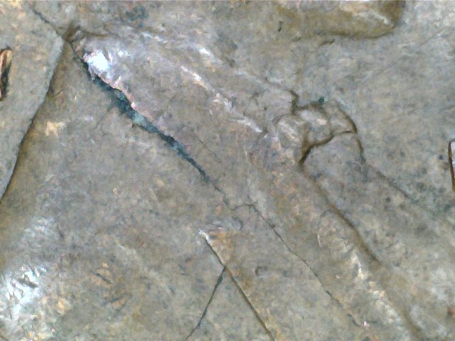 2017-07-11_183328_344.jpg