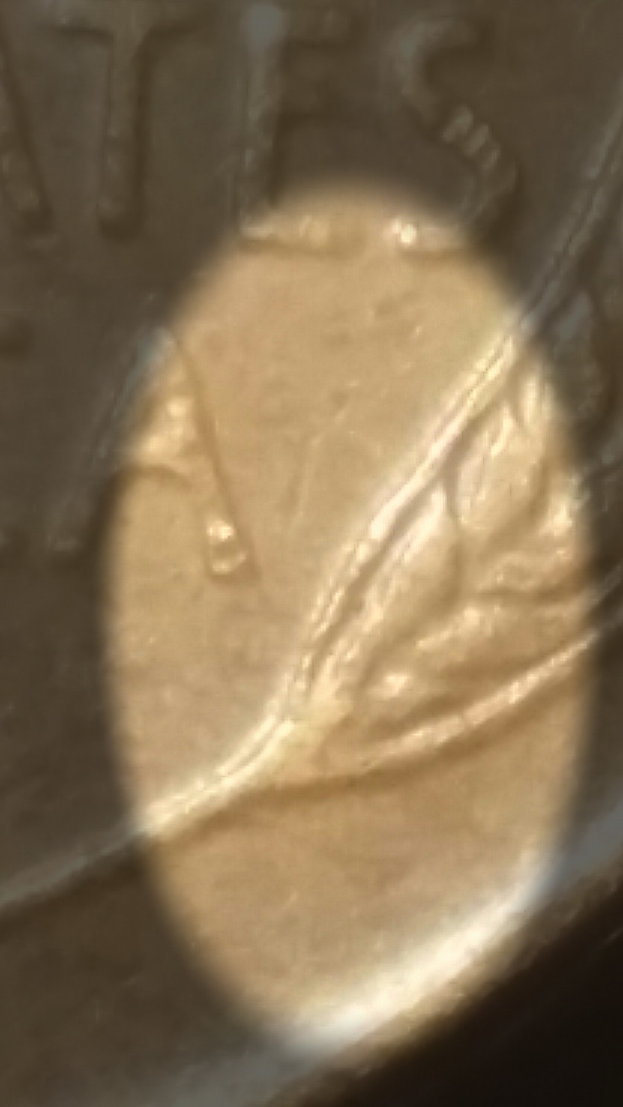 2017-07-21-07-48-02-911.jpg