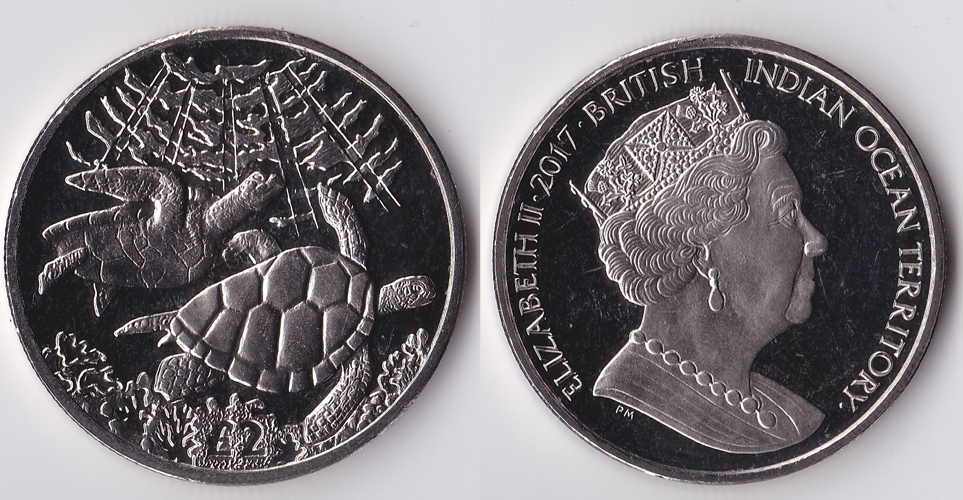 2017 british indian ocean 2 pounds.jpg