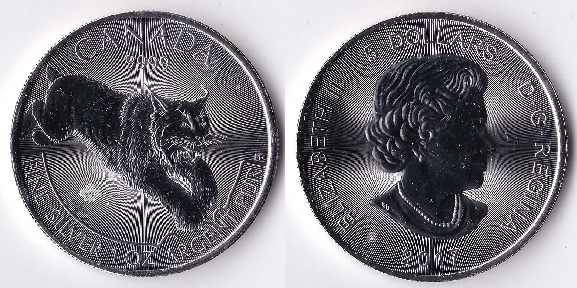 2017 canada 5 dollars lynx.jpg