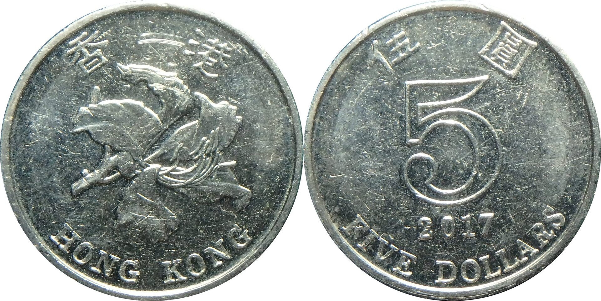 2017 CN-HK 5 d.jpg