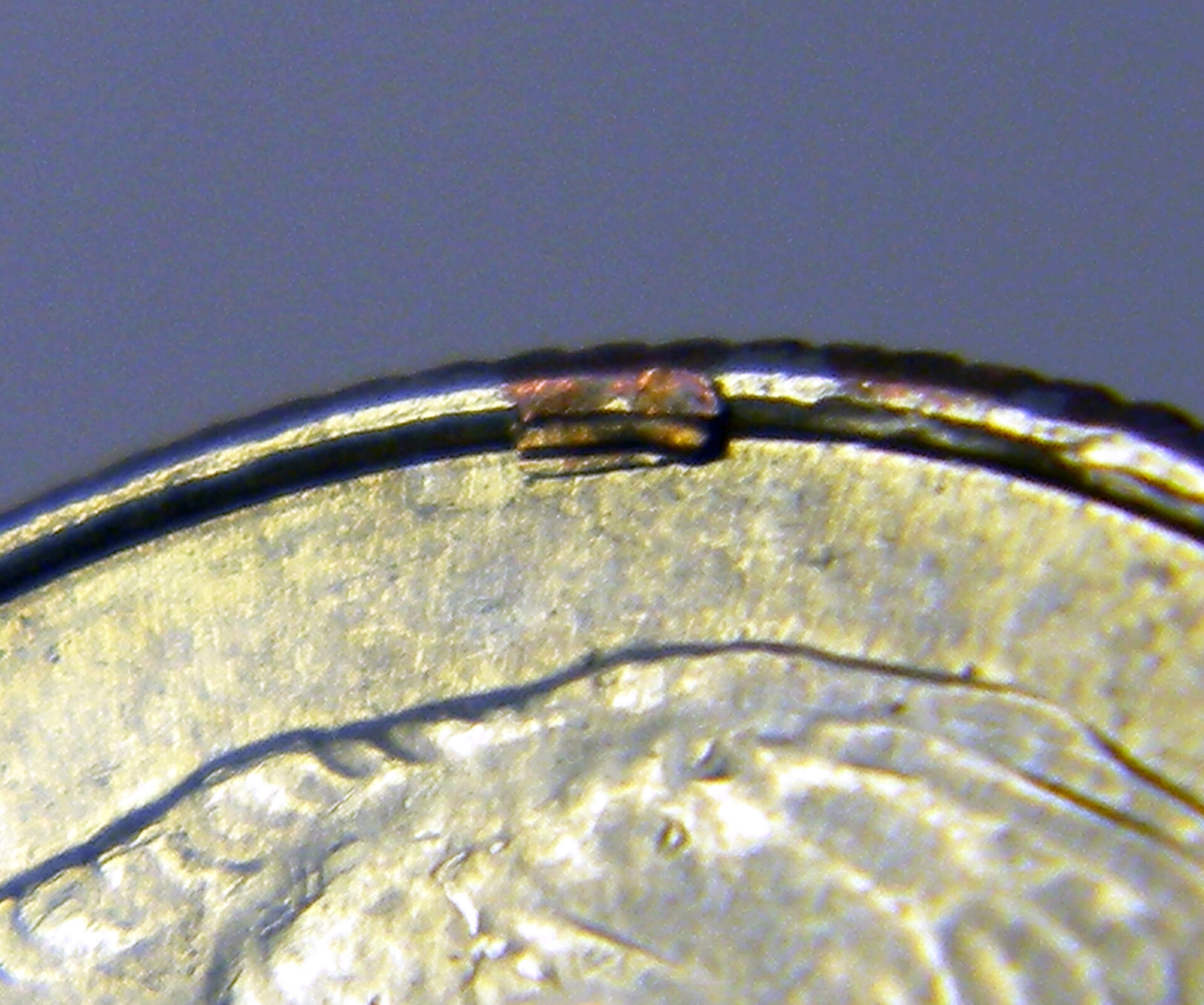 2017 P Roosevelt Dime (CloseUp).jpg
