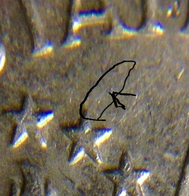 20170113_194923.jpg
