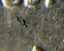 20170113_202053.jpg