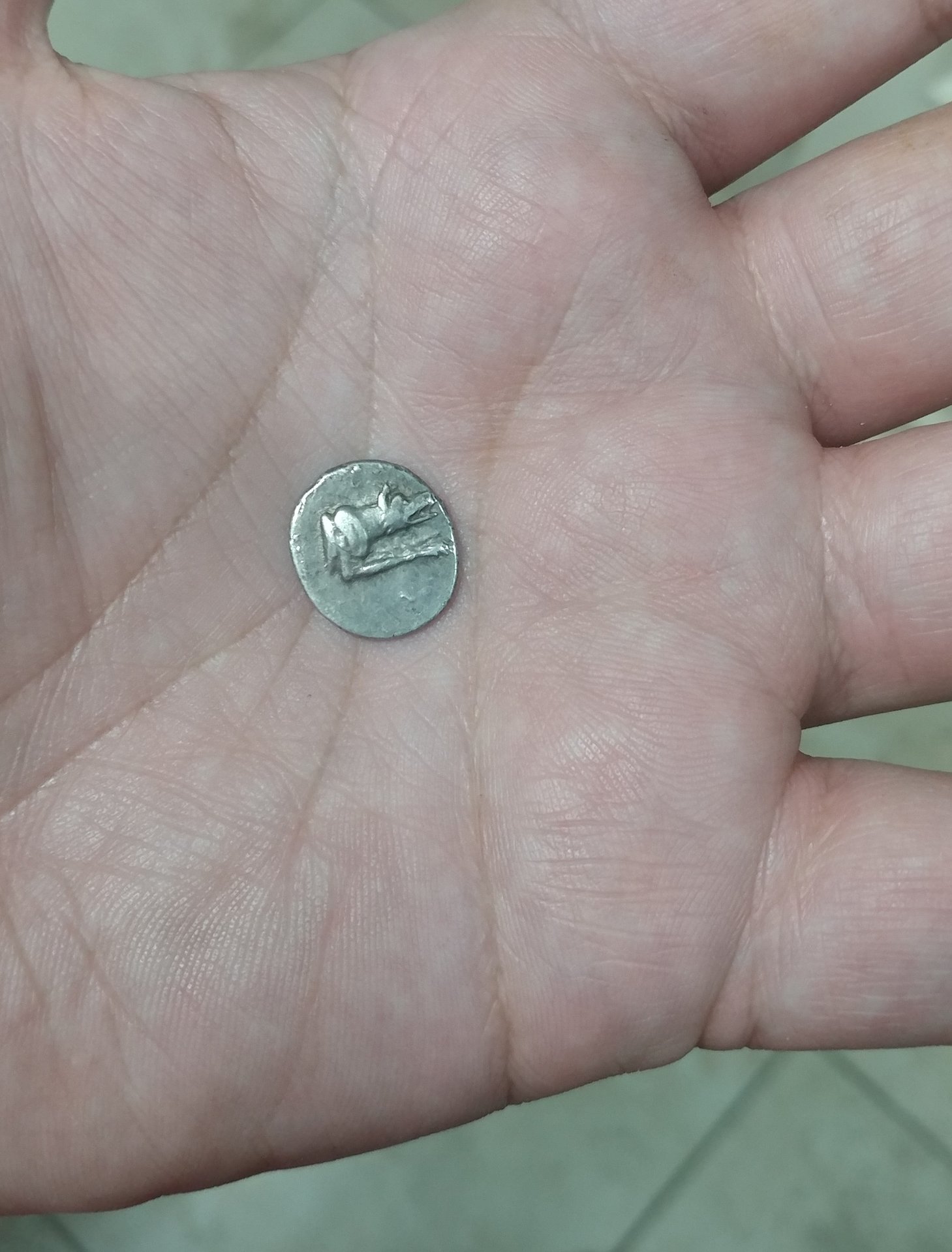 20170113_203723.jpg