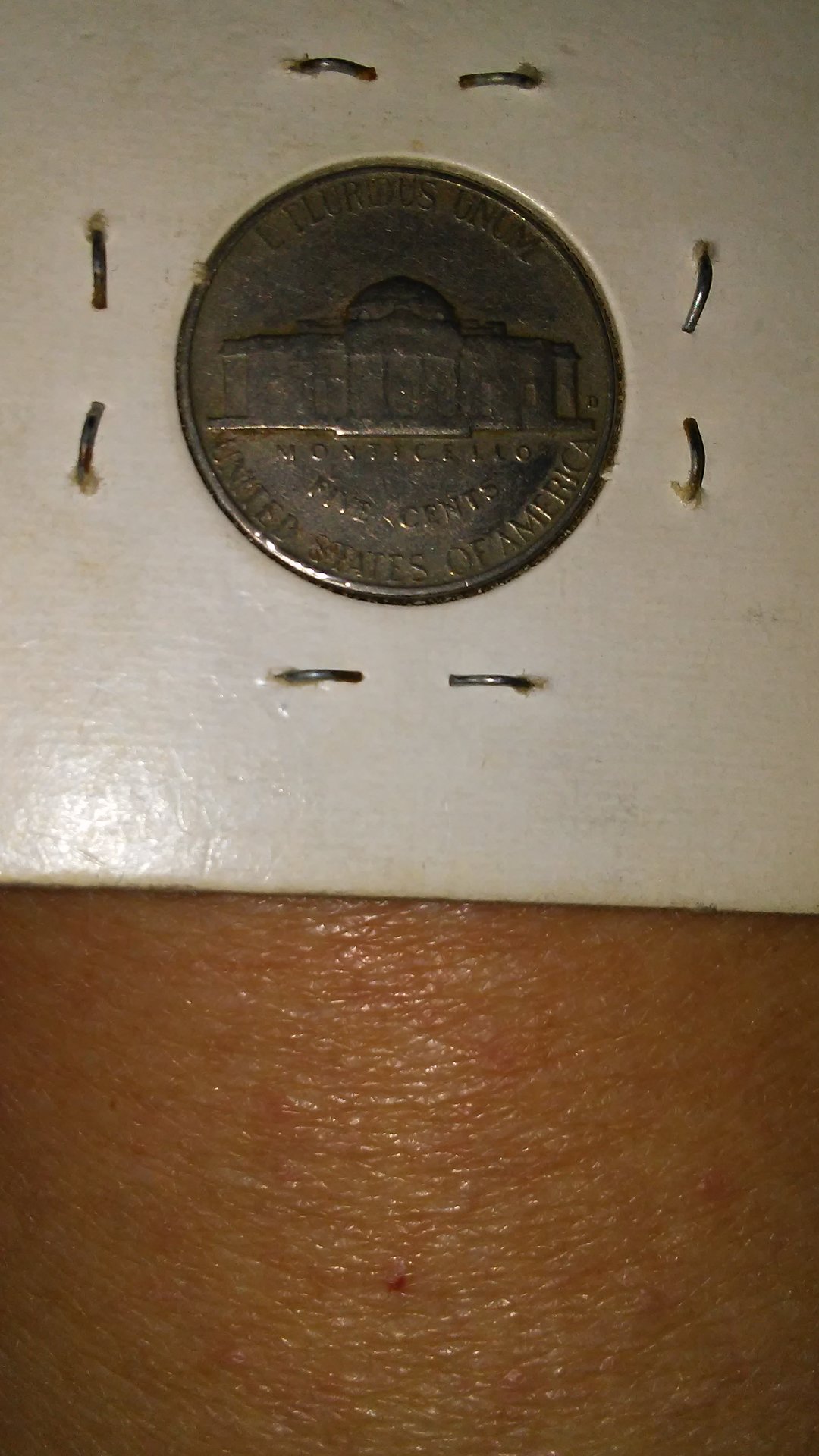 20170115_181339.jpg