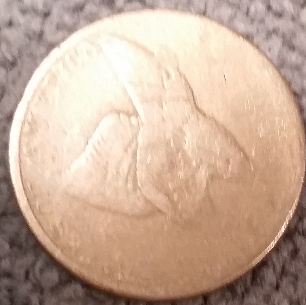 20170122_135243.jpg
