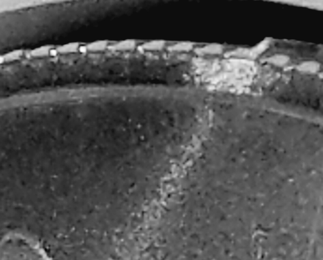 20170122_222248.jpg