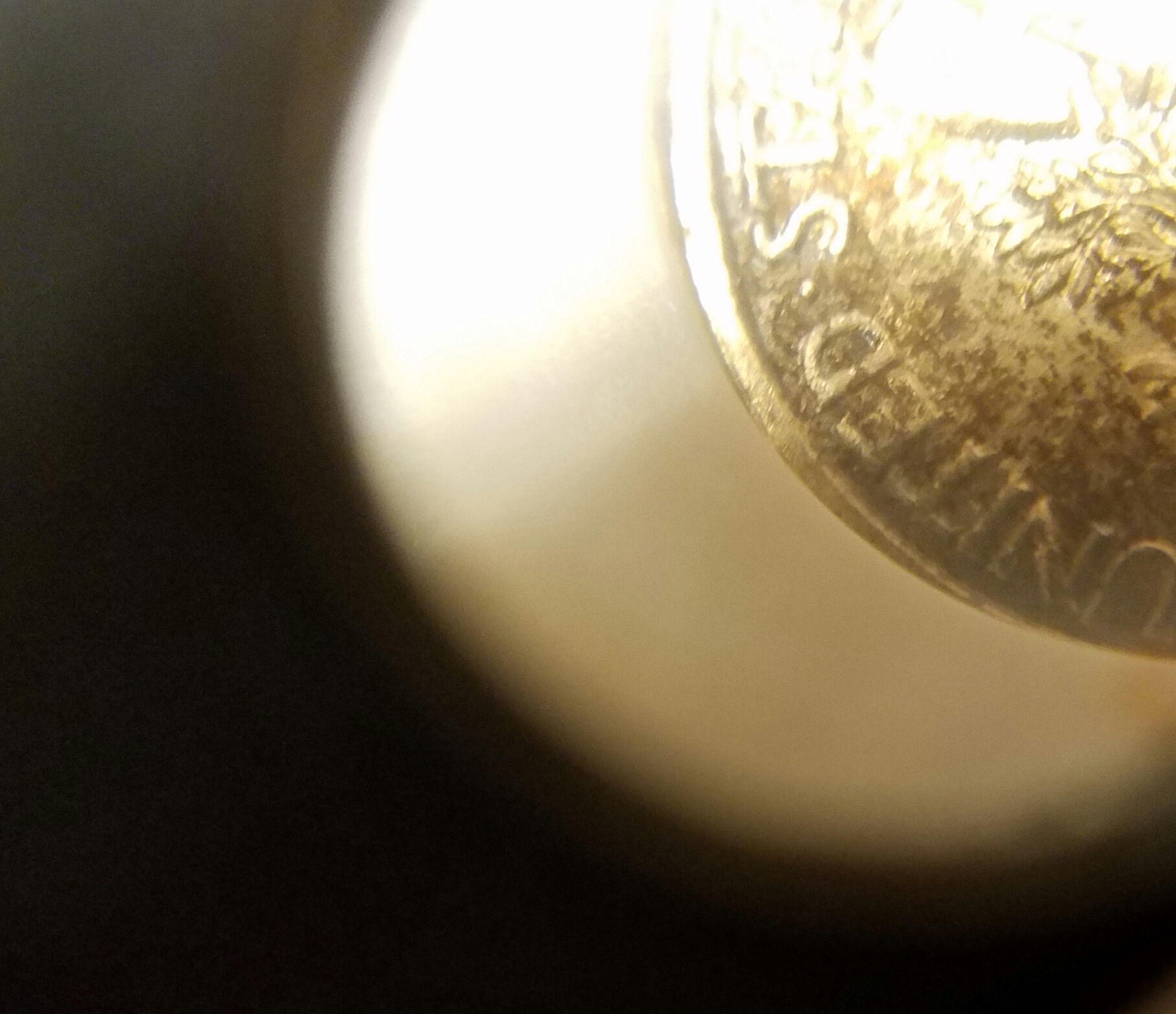 20170129_164516.jpg