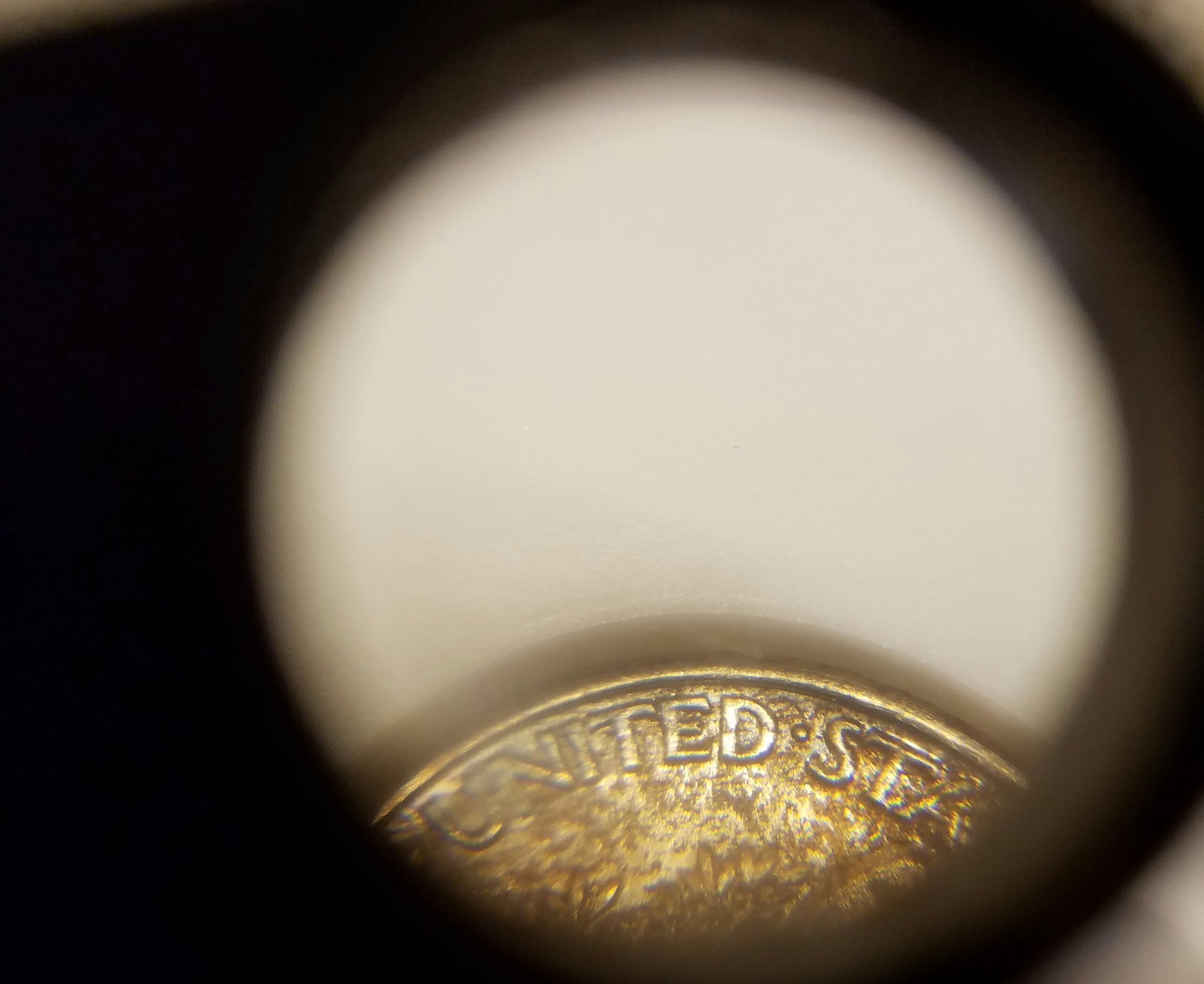 20170129_165013.jpg