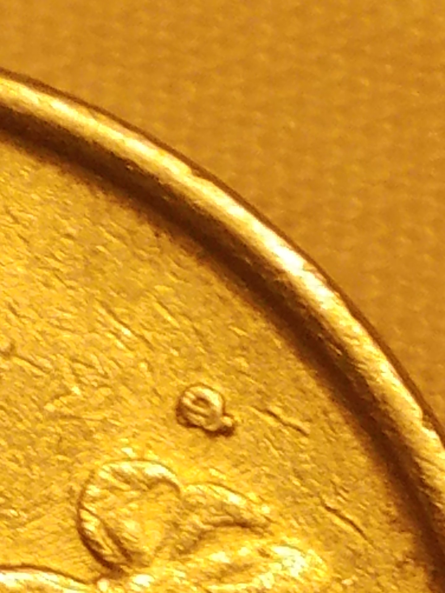 20170203_183232.jpg