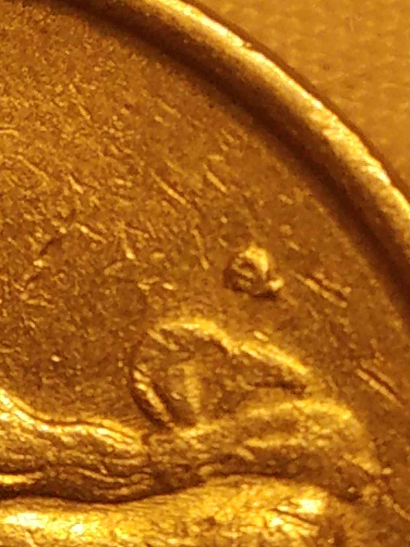 20170203_183238.jpg