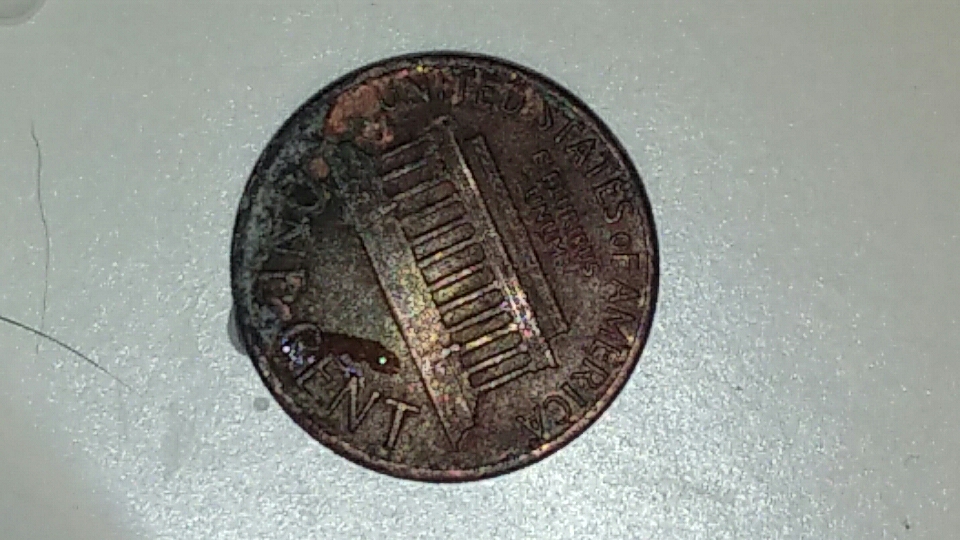 20170212_210914.jpg