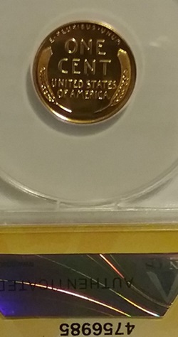 20170216_015955.jpg