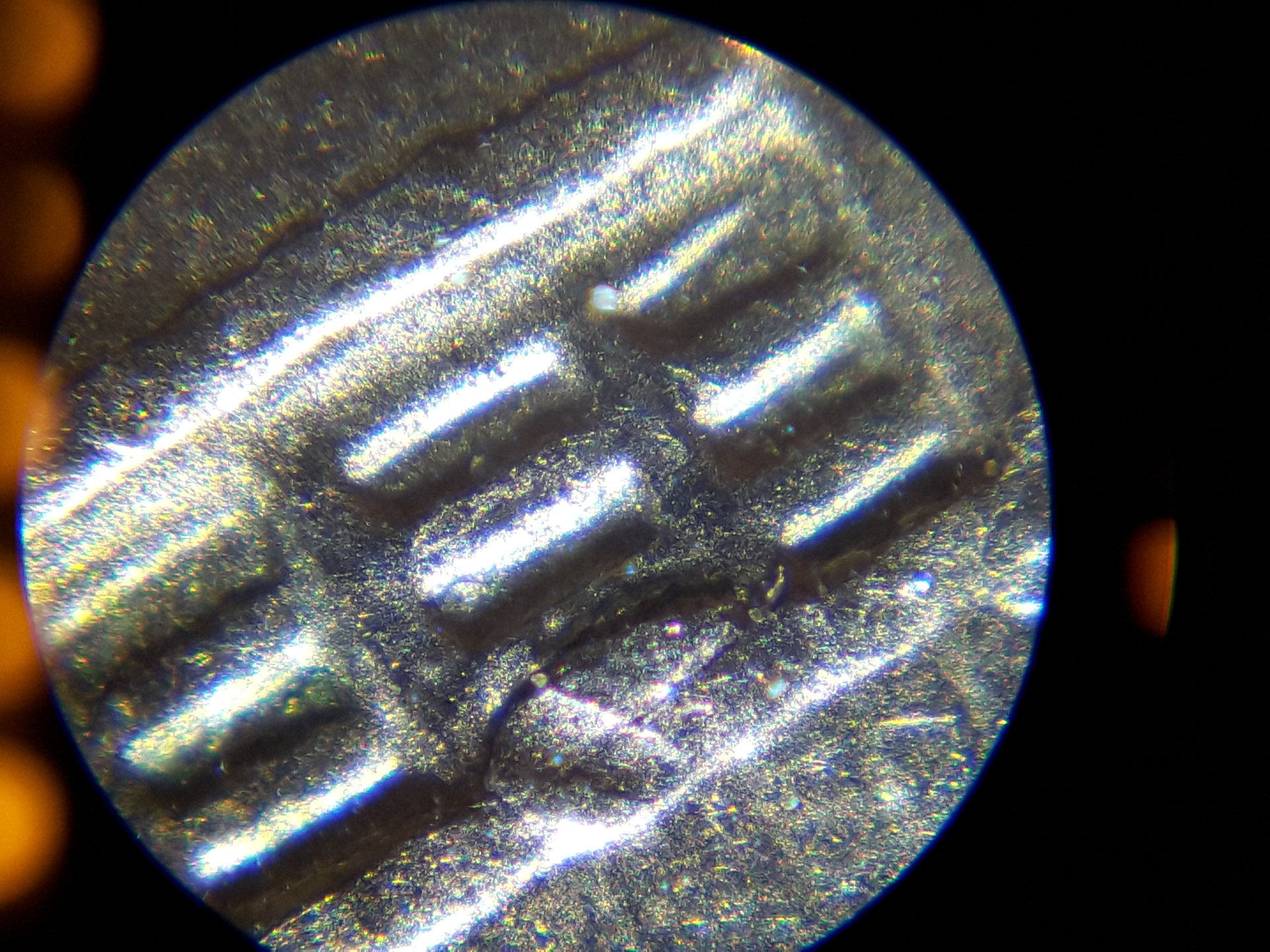 20170222_220503.jpg