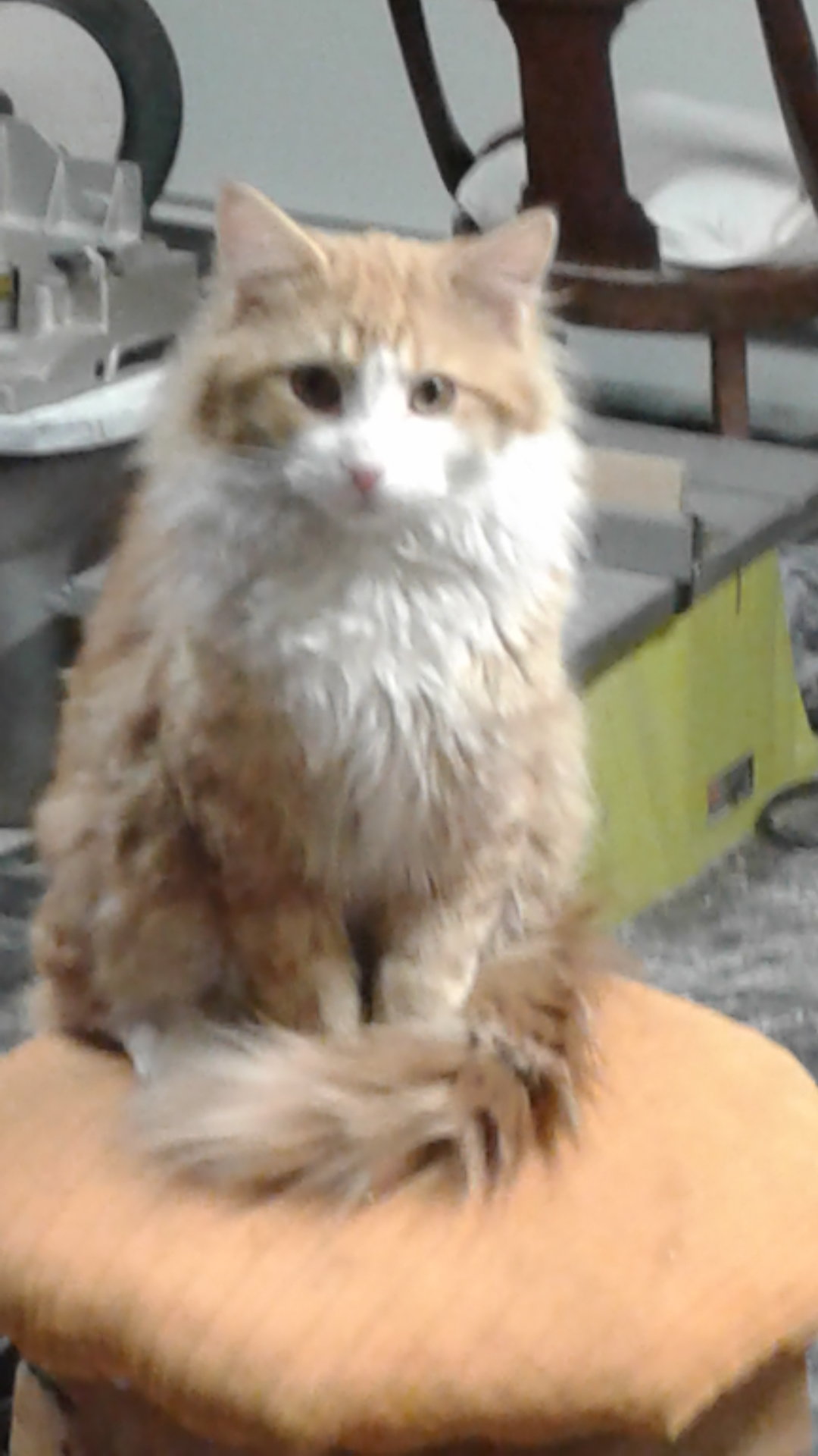 20170226_134450.jpg