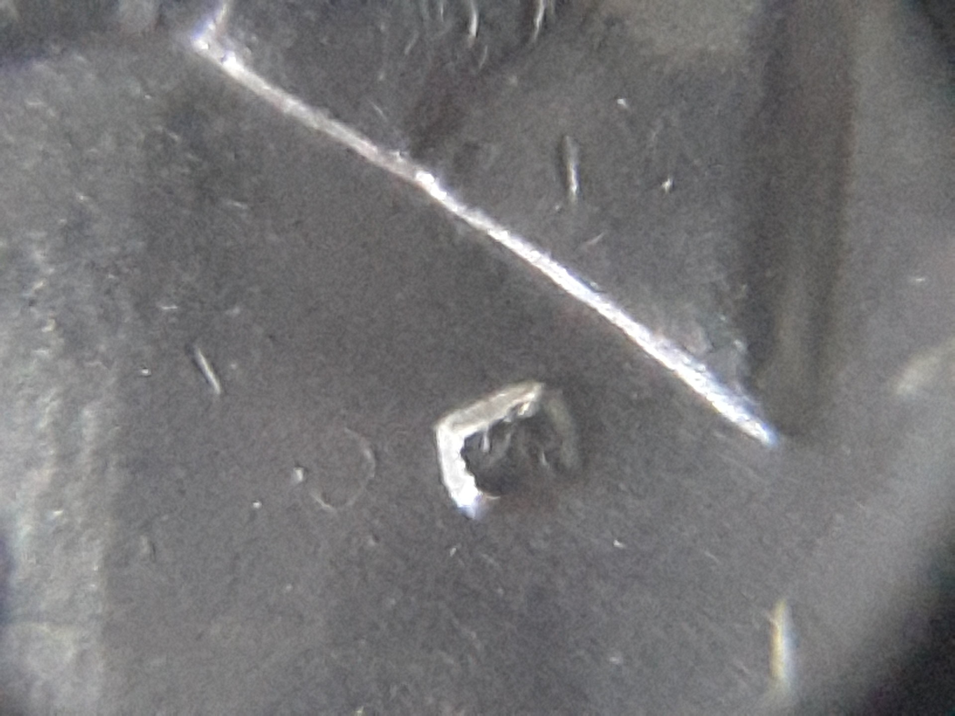 20170302_135646.jpg