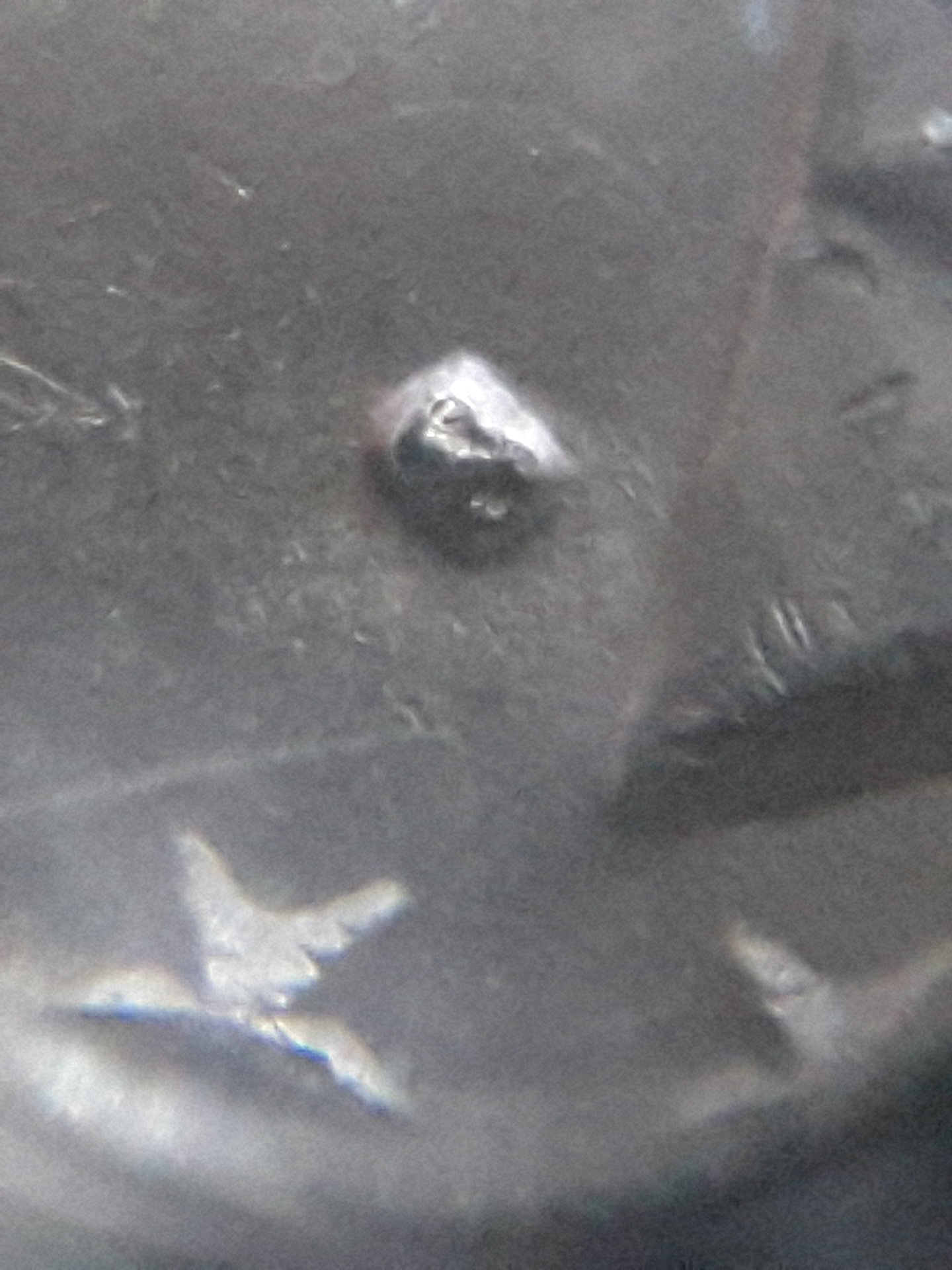 20170302_142126.jpg