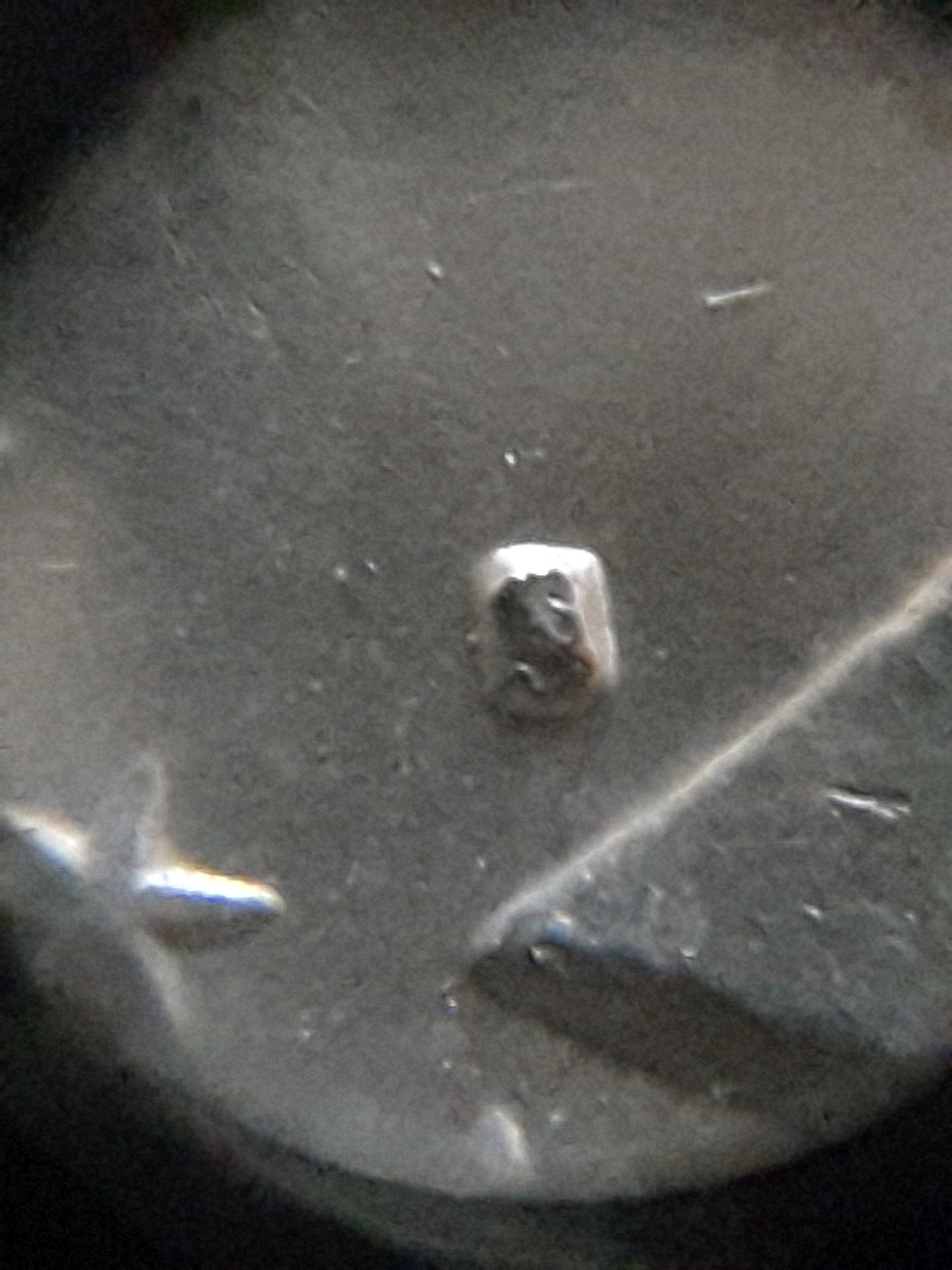 20170303_075714.jpg