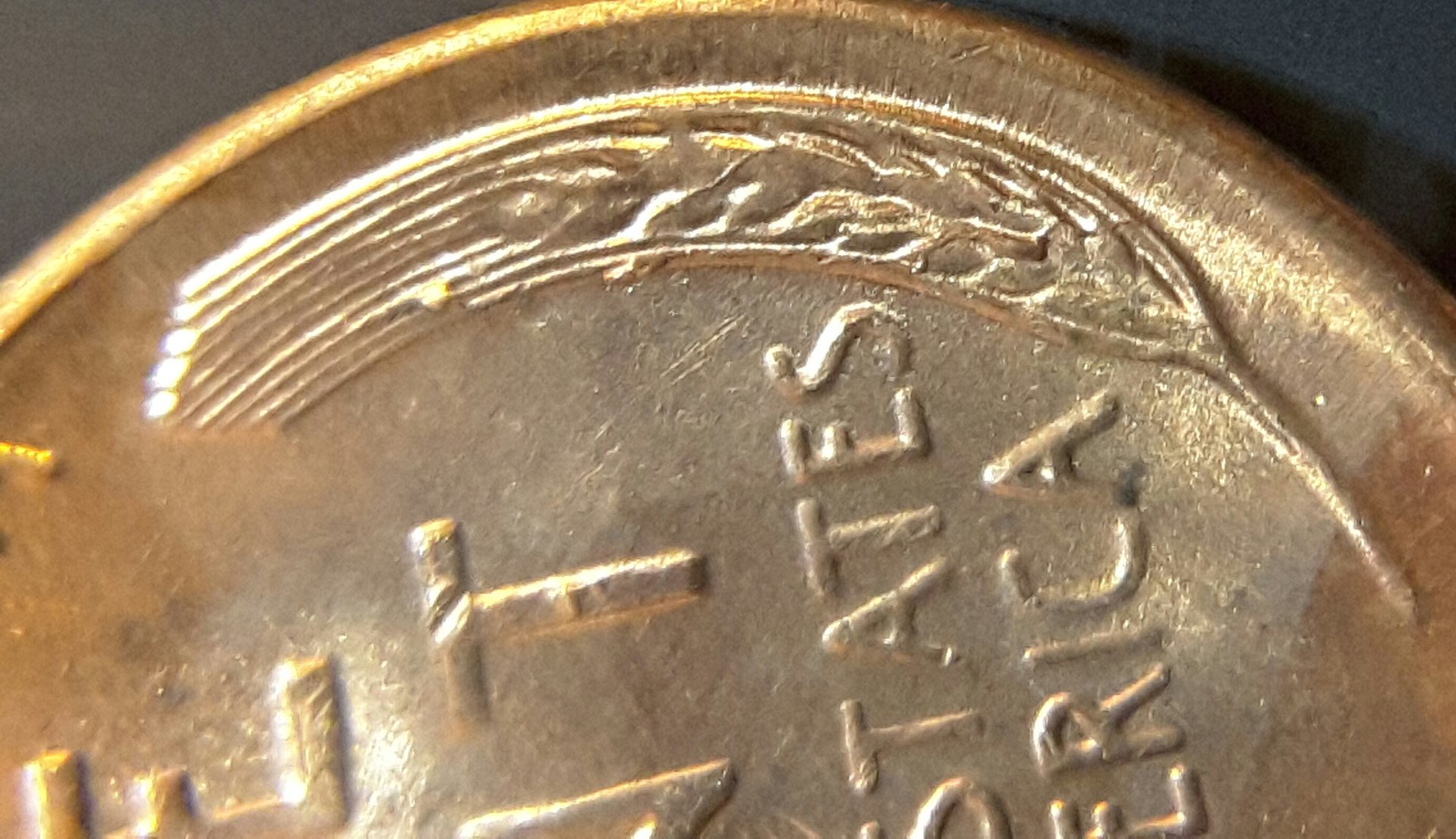 20170309_151524.jpg