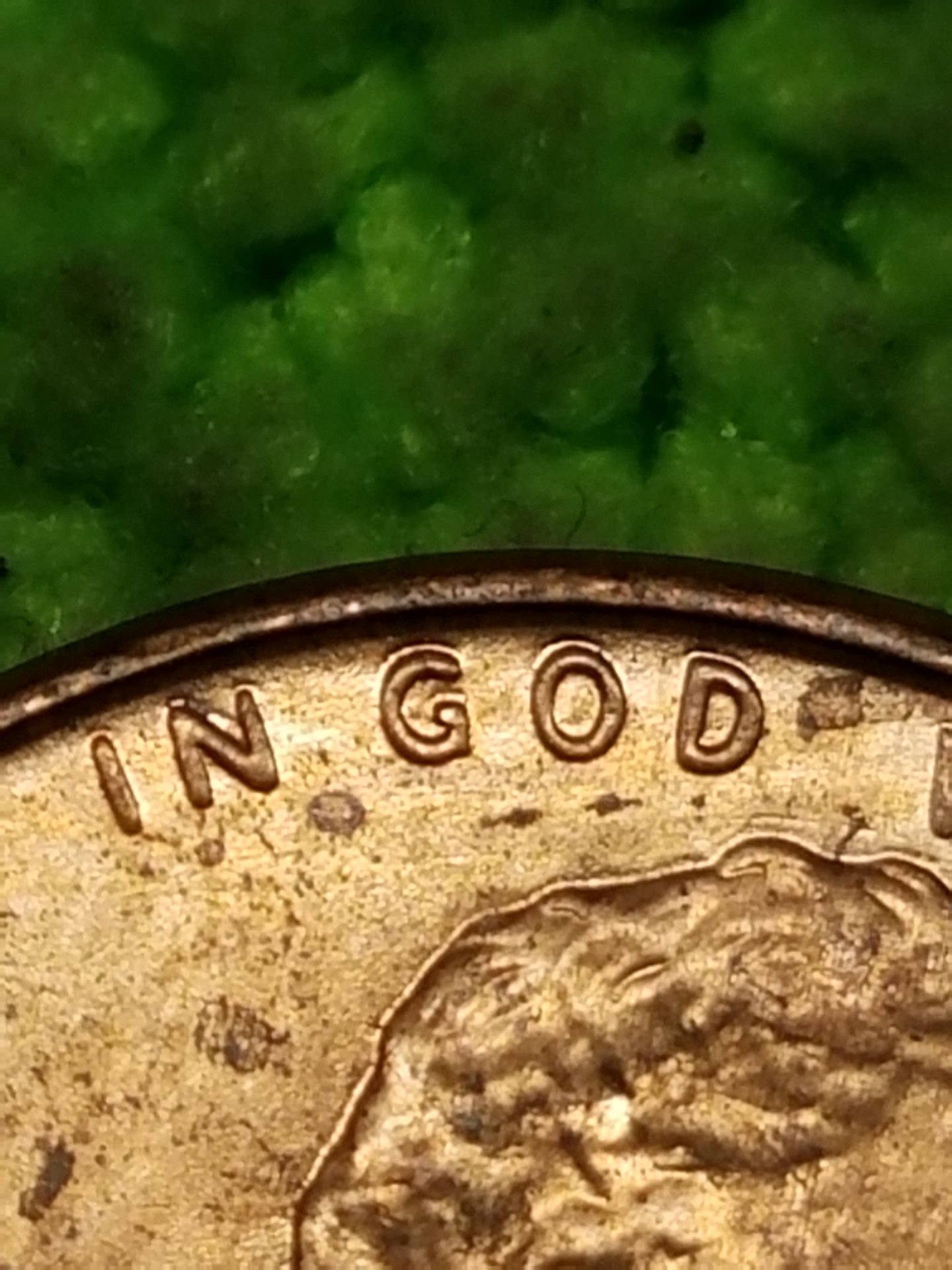 20170320_125632.jpg