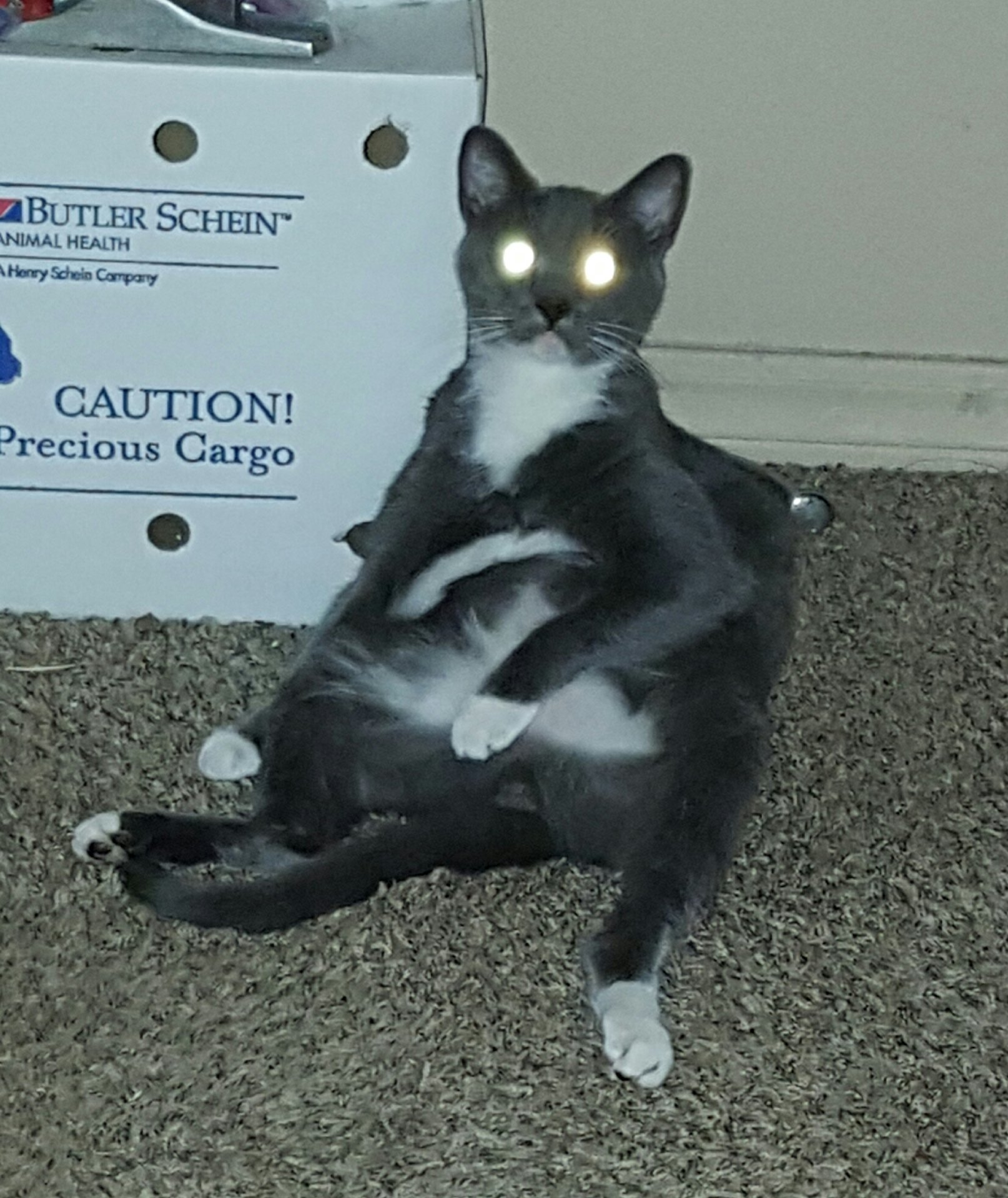 20170320_210643.jpg