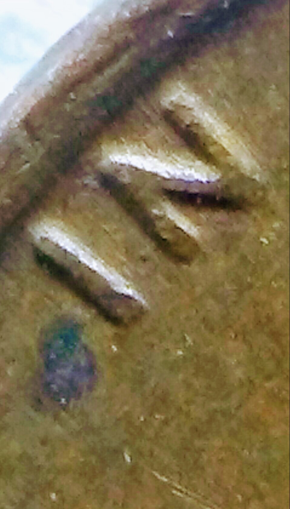 20170322_224159-1.jpg
