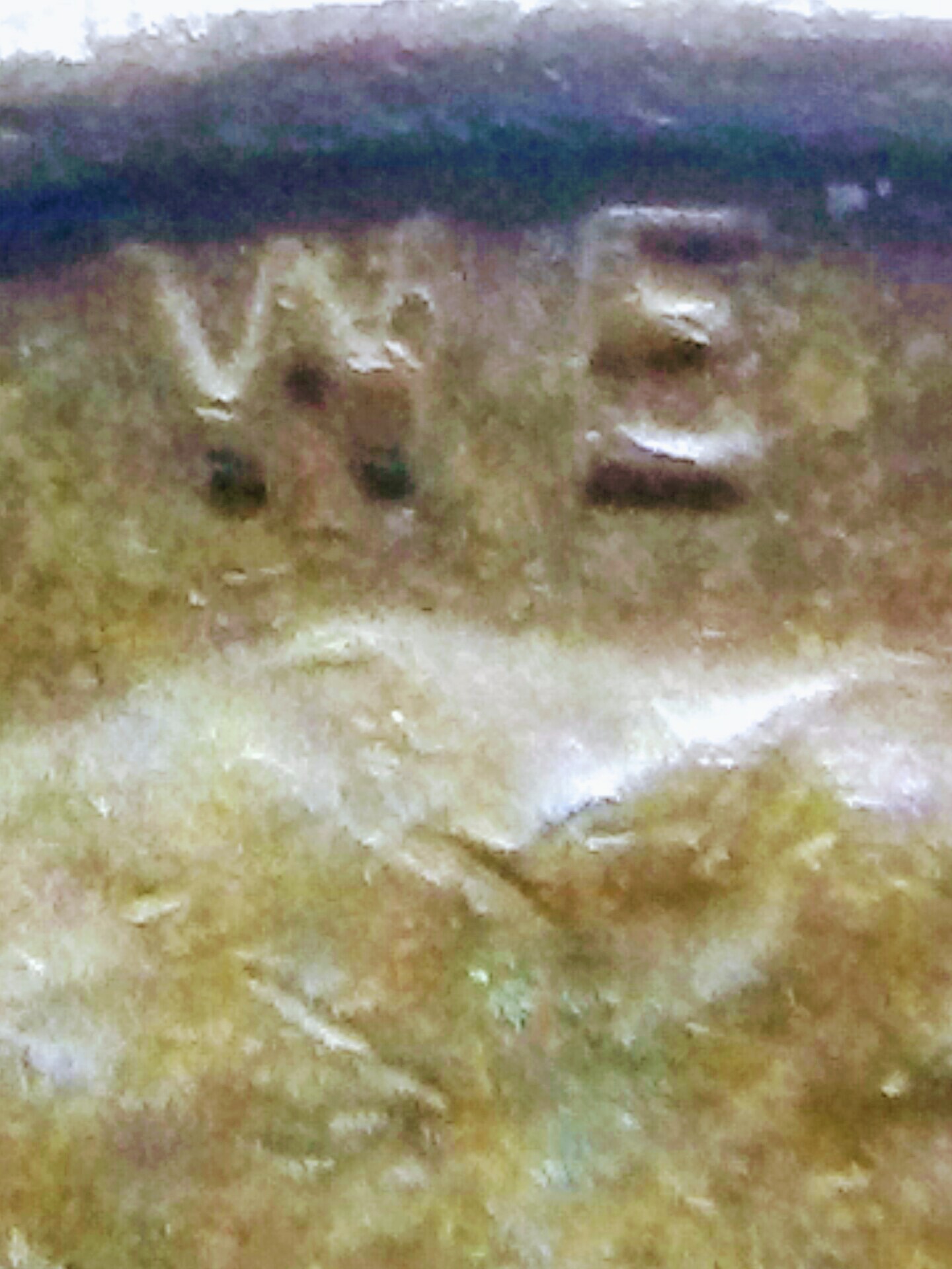 20170322_224321-1.jpg