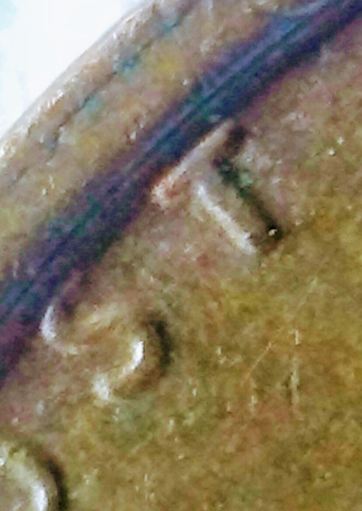 20170322_224540-1.jpg