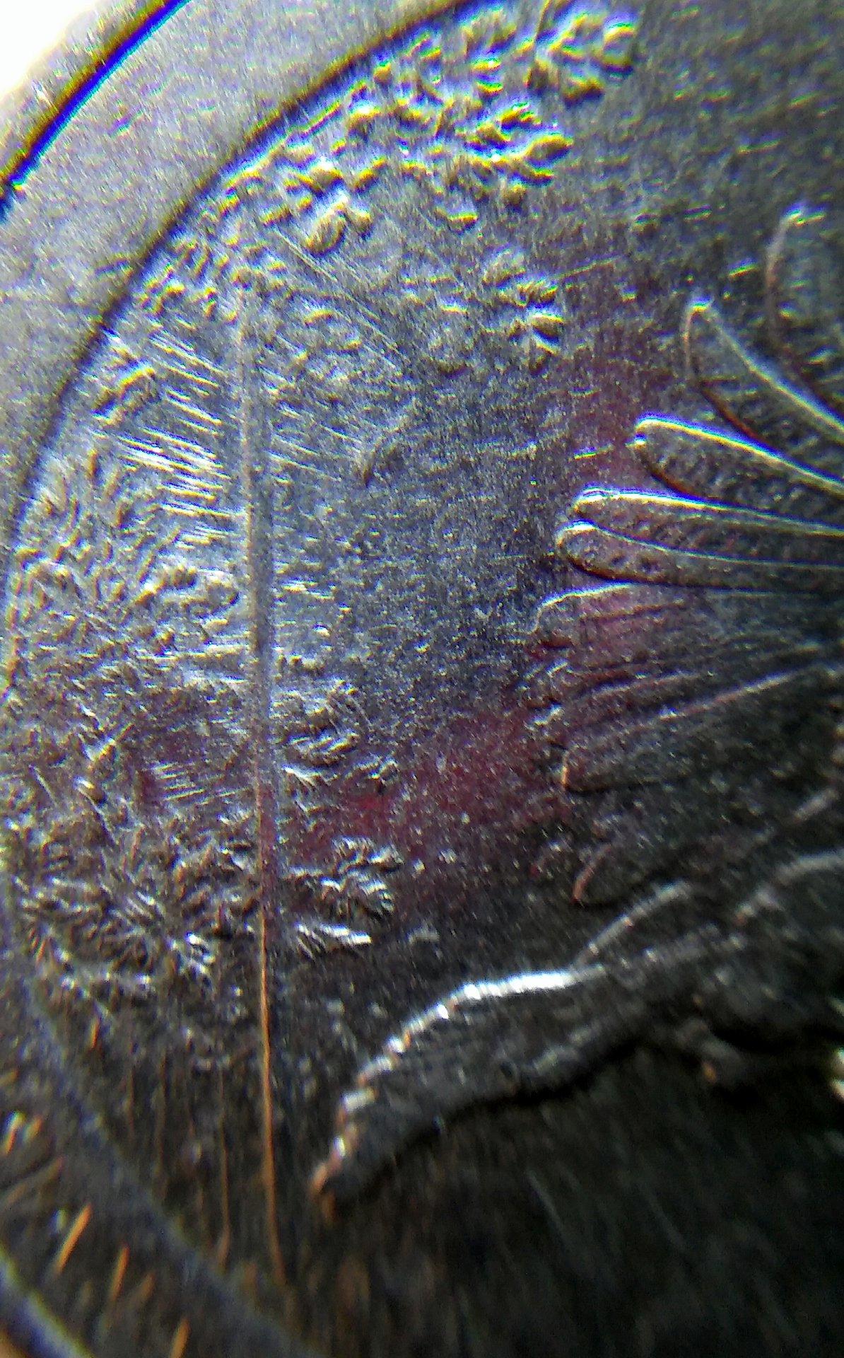 20170401_221152.jpg