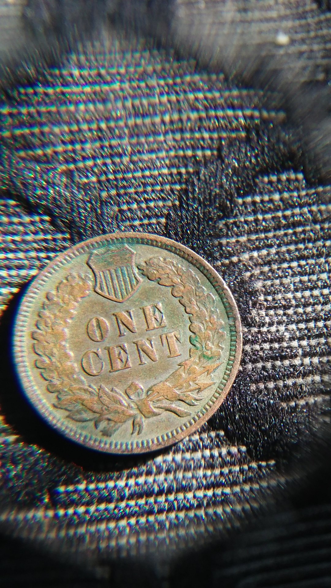 20170408_163345.jpg