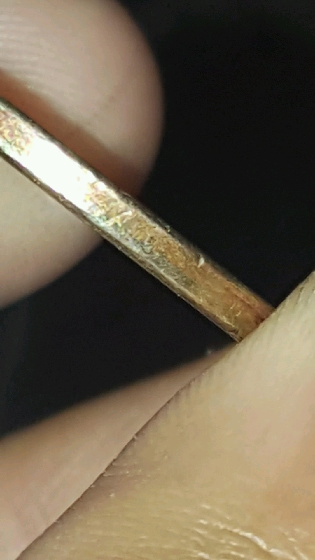 20170427_1745181.jpg