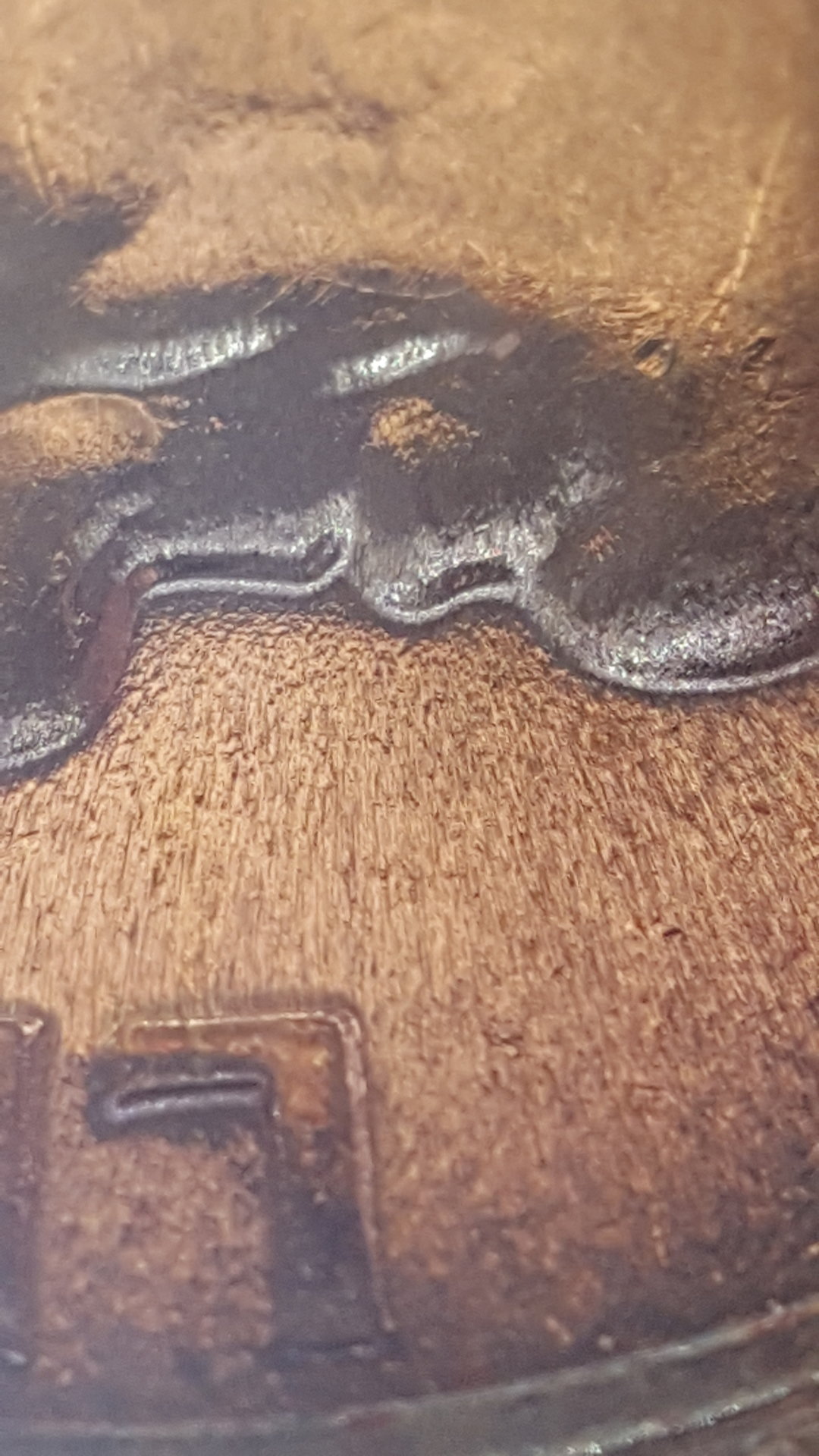 20170429_200955.jpg
