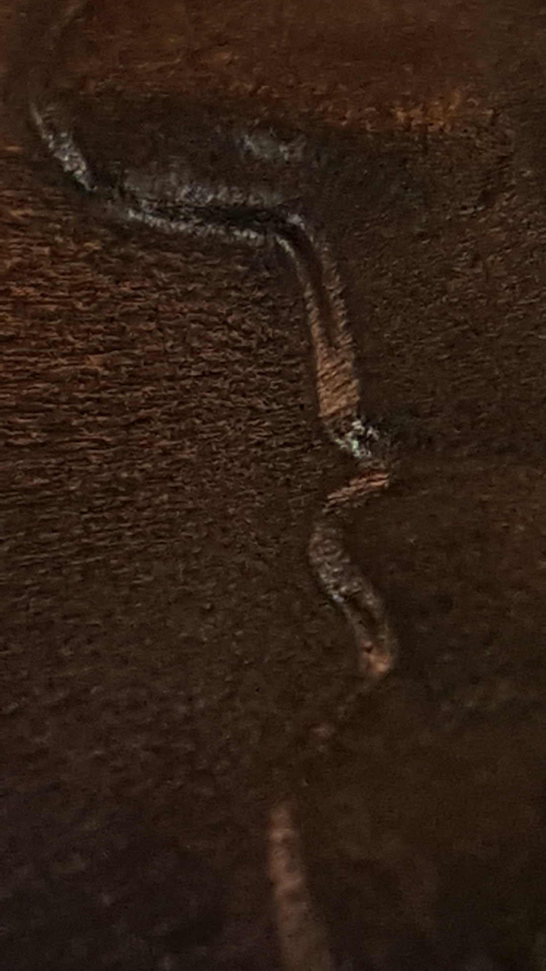 20170429_201647.jpg